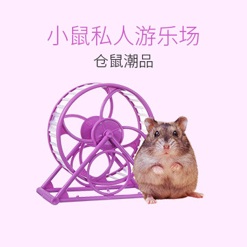 仓鼠