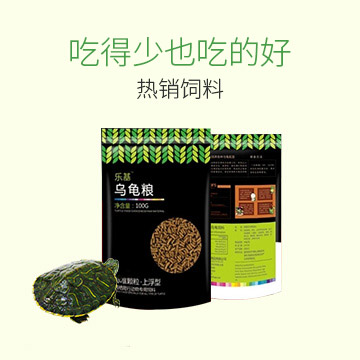 饲料