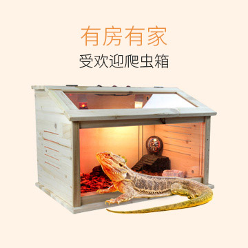 爬虫箱