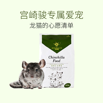 龙猫