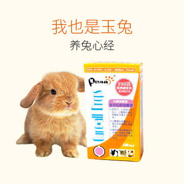 兔子