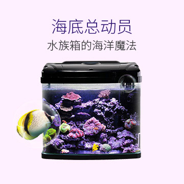水族箱