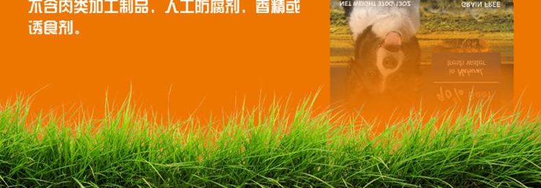 K9 Natural 天然无谷牛肉狗罐头 170g*6罐 90%肉含量 新西兰进口