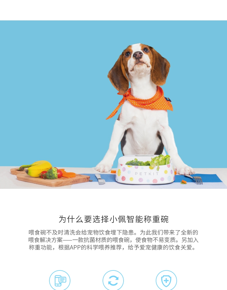 小佩Petkit 智能称重碗 抗菌宠物碗 猫狗通用