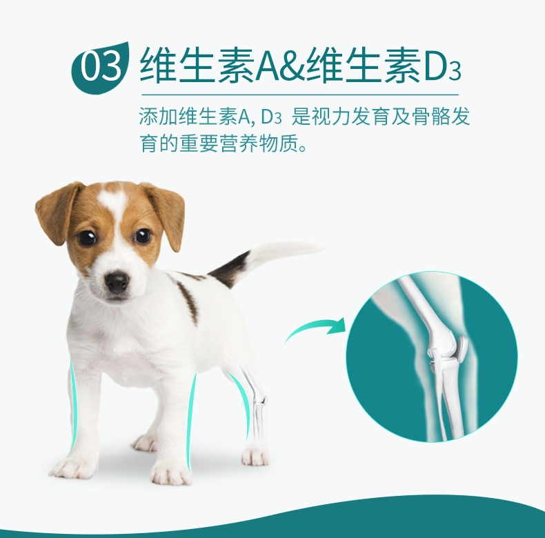 BOTH 幼犬山羊奶果冻布丁狗零食 15g*50粒桶装