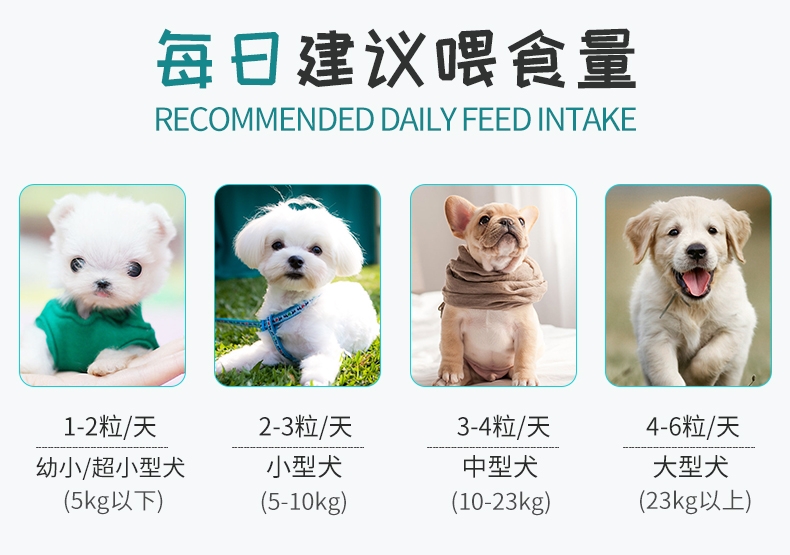 BOTH 幼犬山羊奶果冻布丁狗零食 15g*50粒桶装
