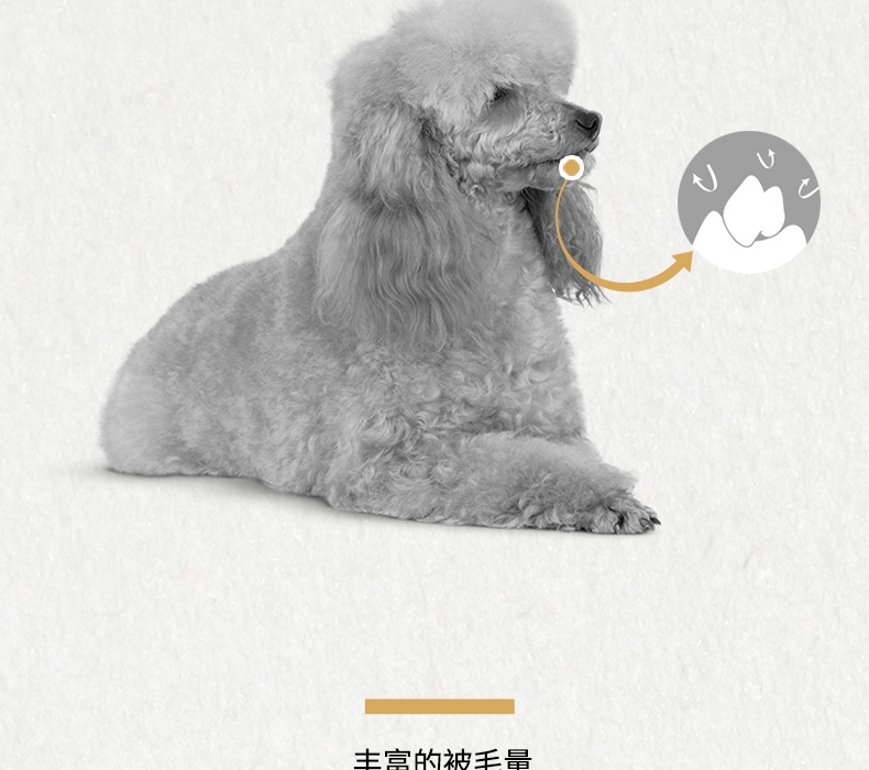 法国皇家Royal Canin 泰迪贵宾专用成犬粮 3kg PD30