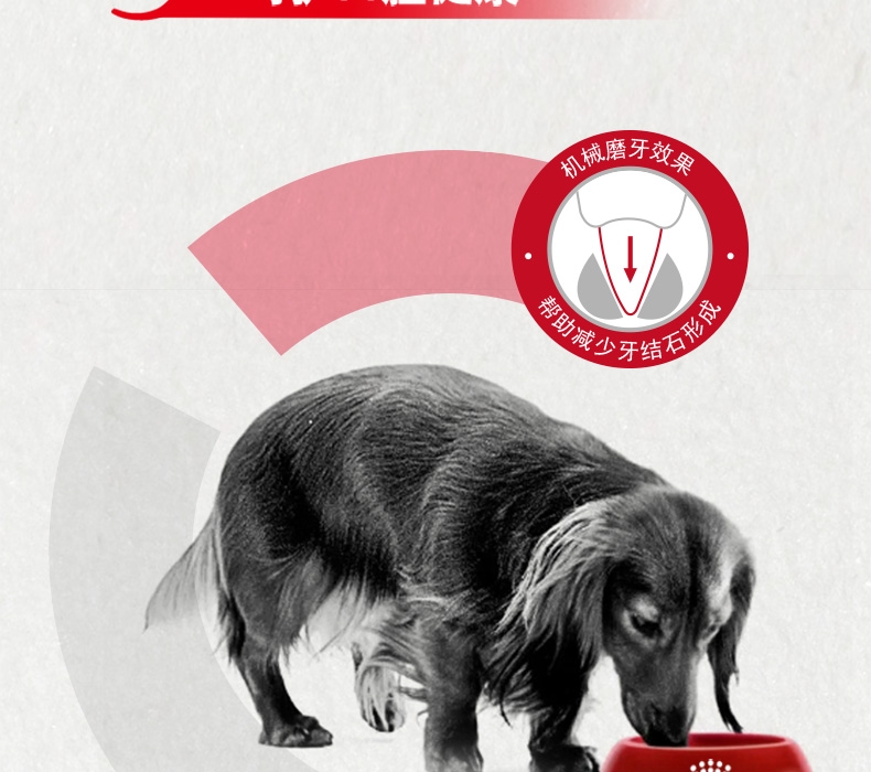 法国皇家Royal Canin CC优选全犬种成犬粮 8kg