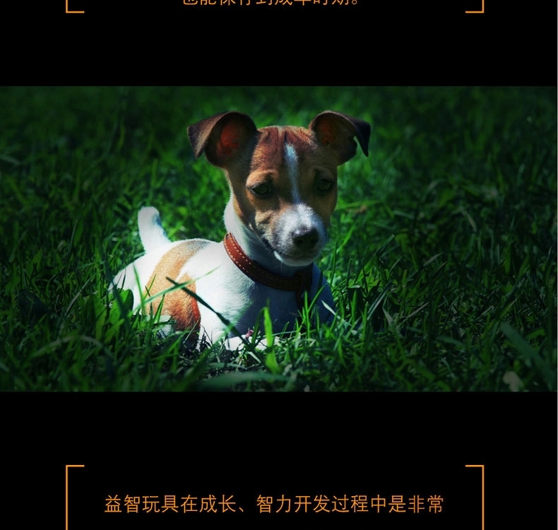 酷极kyjen 七连环益智狗狗玩具