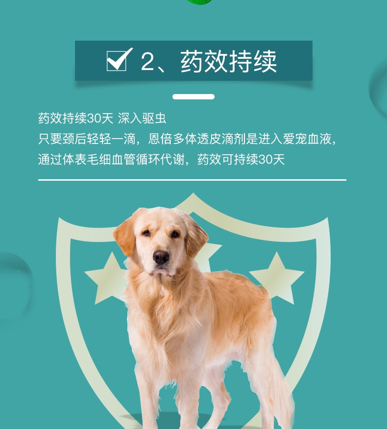 恩倍多 犬用体外驱虫 滴剂 适用15kg-30kg犬 2ml/1个月剂量