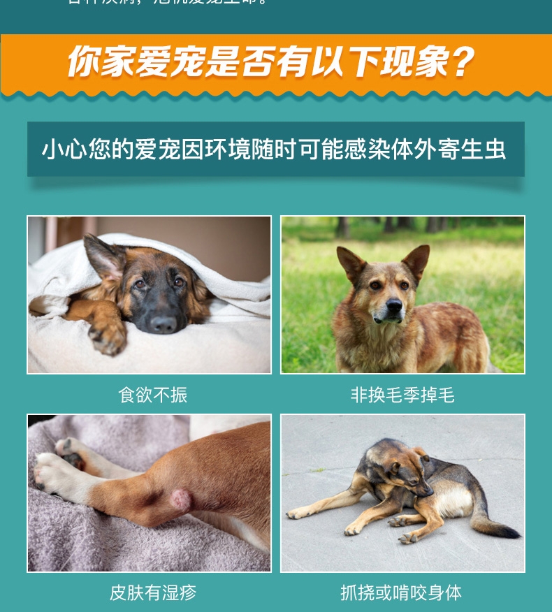 恩倍多 犬用体外驱虫 滴剂 适用15kg-30kg犬 2ml/1个月剂量