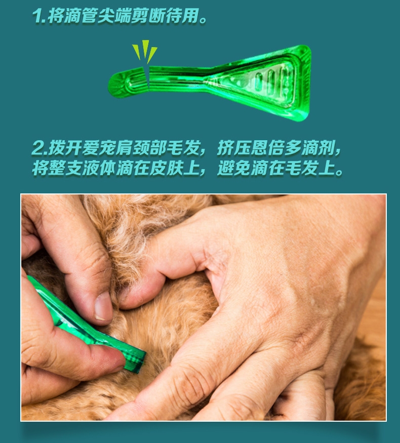 恩倍多 犬用体外驱虫 滴剂 适用15kg-30kg犬 2ml/1个月剂量