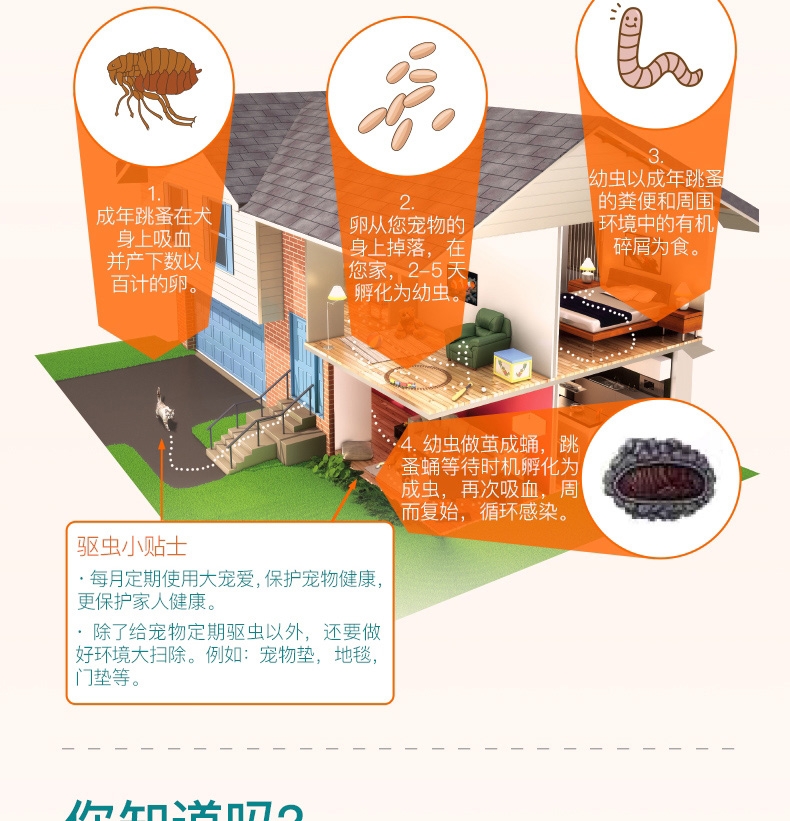 大宠爱 犬猫内外同驱 驱虫滴剂 2.5kg以下犬猫适用 15mg*3支盒装/3个月剂量 美国进口