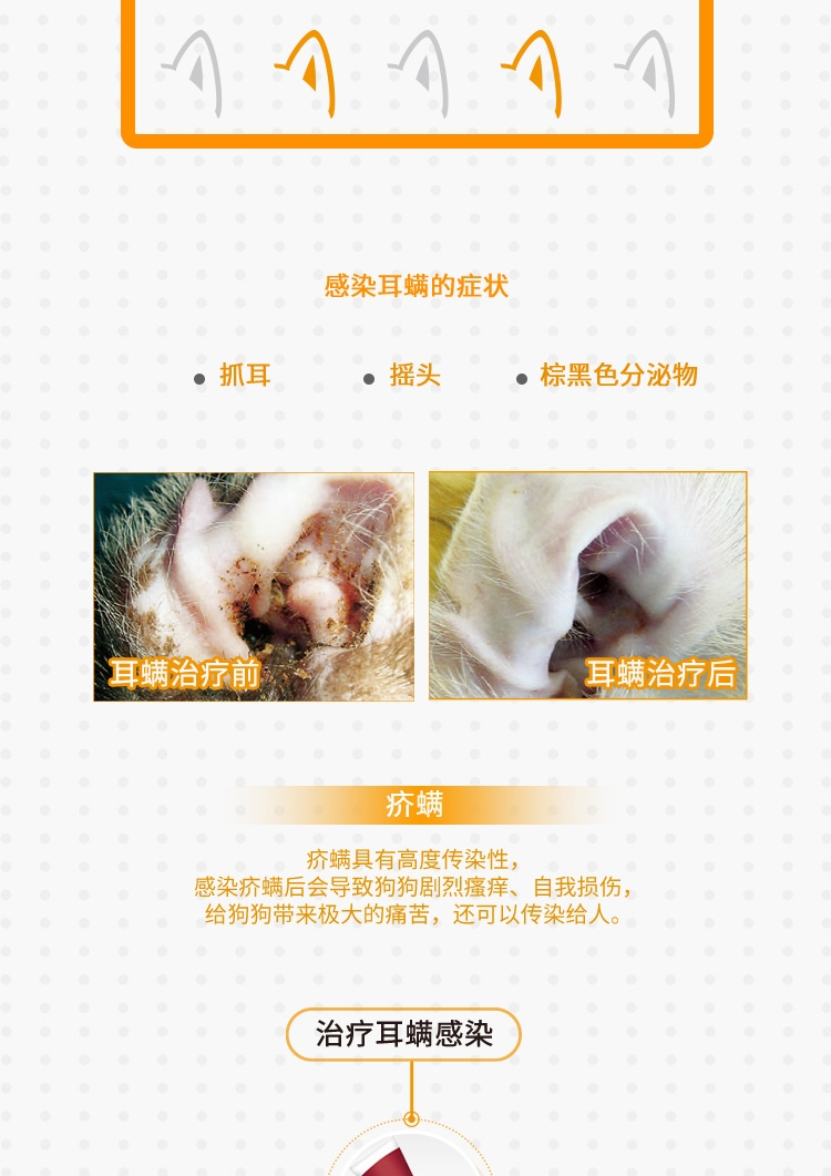 爱沃克 犬用内外同驱 驱虫滴剂 适用10-25kg犬 3支整盒装/3个月剂量 德国进口