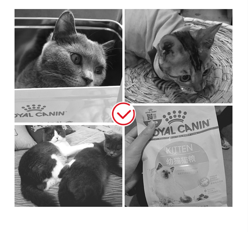 法国皇家Royal Canin 孕猫及12个月以下幼猫粮 2kg K36
