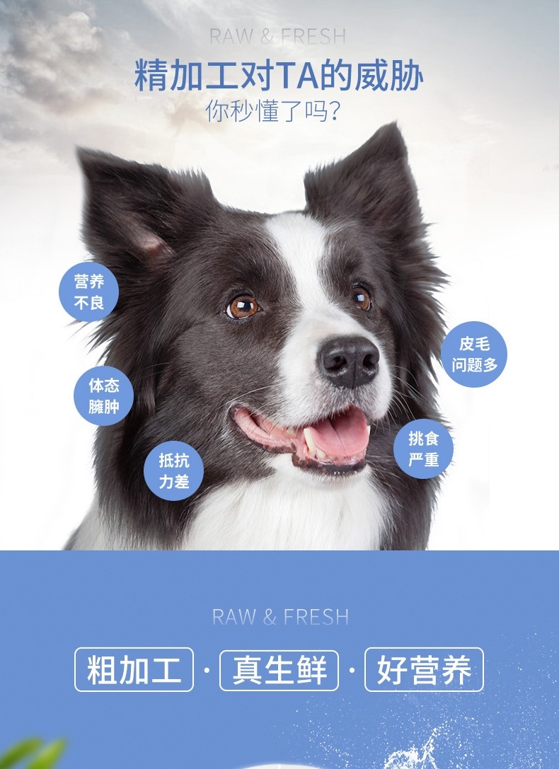 伯纳天纯 无谷冻干海洋盛宴全犬种全期犬粮 12kg 72%含肉量