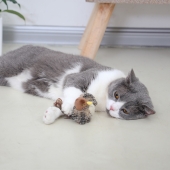 贵为GiGwi 炫律猎物系列仿真小鸟发声玩具 猫玩具